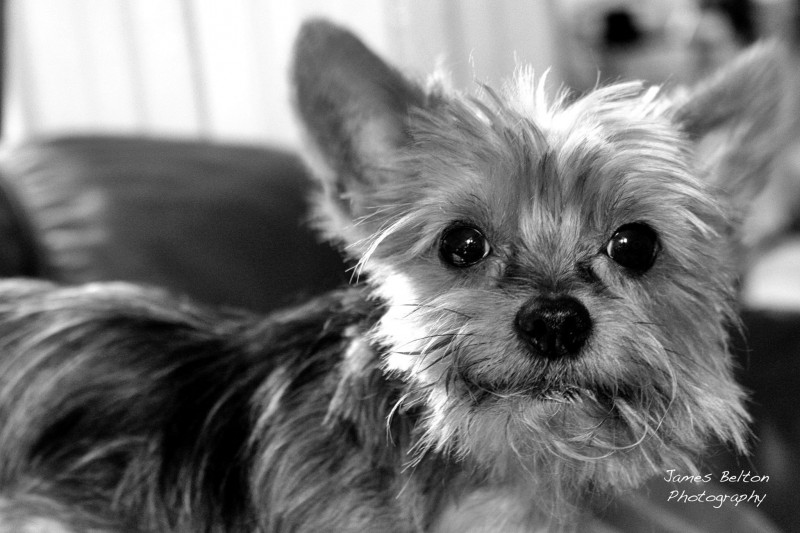 10524253_10203992387906699_6624661328460468058_o