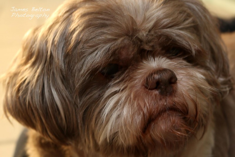 10633646_10204058783646551_1347074512182668455_o